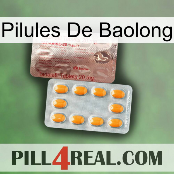 Baolong Pills new13